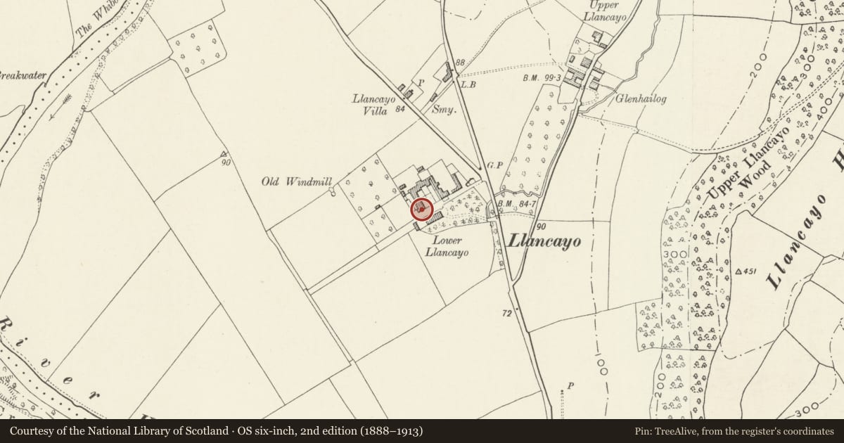 Ordnance Survey six-inch map, 2nd edition (1888–1913) covering the location of Mill building at Lower Llancayo Farm, Llanarth, Monmouthshire, with a pin at the register's coordinates