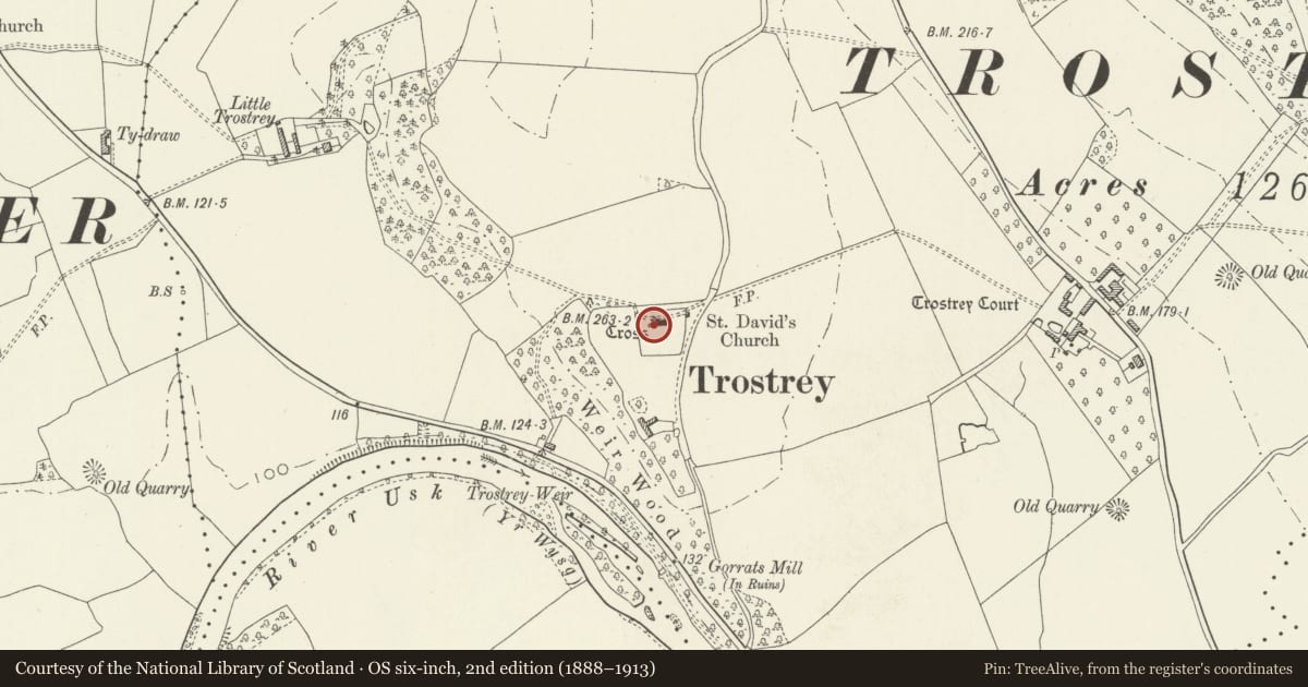 Ordnance Survey six-inch map, 2nd edition (1888–1913) covering the location of Churchyard cross in Trostrey churchyard, Llanarth, Monmouthshire, with a pin at the register's coordinates