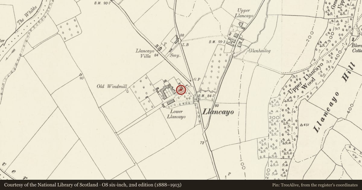 Ordnance Survey six-inch map, 2nd edition (1888–1913) covering the location of Outbuilding to E of Lower Llancayo Farm, Llanarth, Monmouthshire, with a pin at the register's coordinates