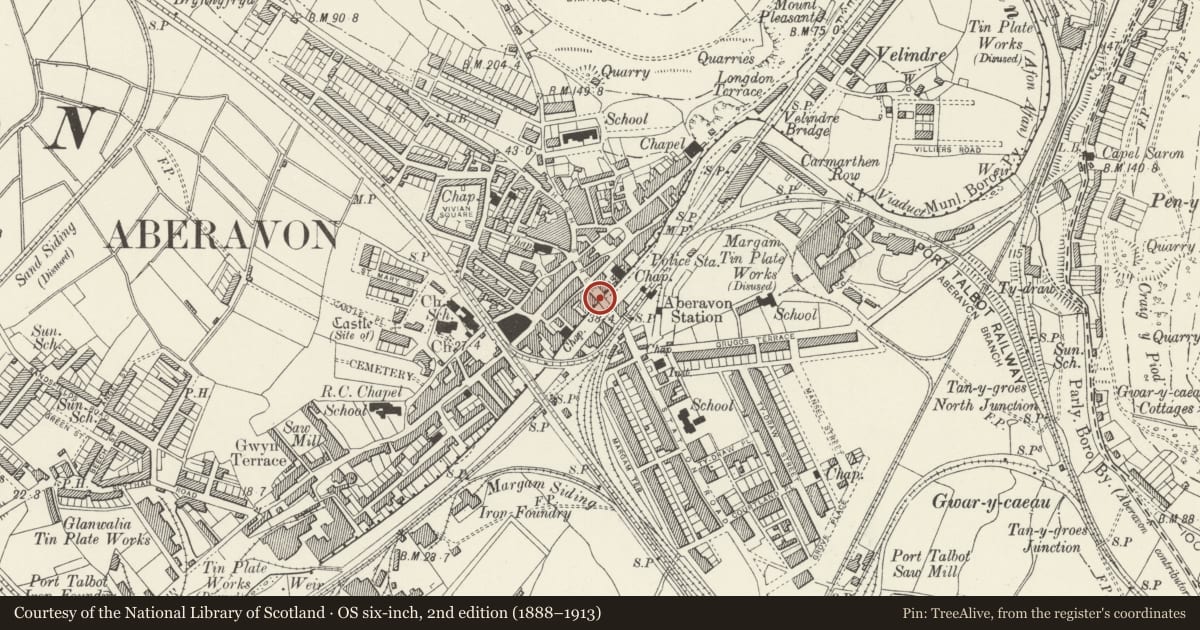 Ordnance Survey six-inch map, 2nd edition (1888–1913) covering the location of Aberavon Bridge (partly in Port Talbot community), Neath Port Talbot, with a pin at the register's coordinates