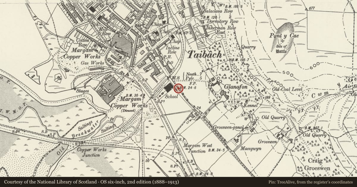 Ordnance Survey six-inch map, 2nd edition (1888–1913) covering the location of Milepost, Tai-Bach, Neath Port Talbot, with a pin at the register's coordinates