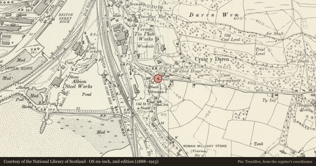 Ordnance Survey six-inch map, 2nd edition (1888–1913) covering the location of Milestone at the junction of Old Road and Thorney Road, Baglan, Neath Port Talbot, with a pin at the register's coordinates