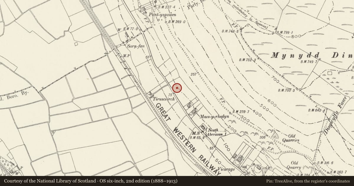 Ordnance Survey six-inch map, 2nd edition (1888–1913) covering the location of Sunray, Baglan, Neath Port Talbot, with a pin at the register's coordinates
