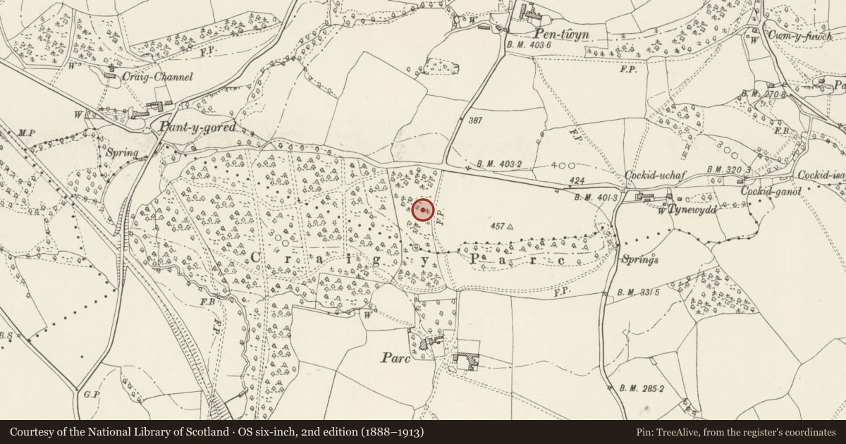Ordnance Survey six-inch map, 2nd edition (1888–1913) covering the location of Craig-y-parc House, Pentyrch, Cardiff, with a pin at the register's coordinates