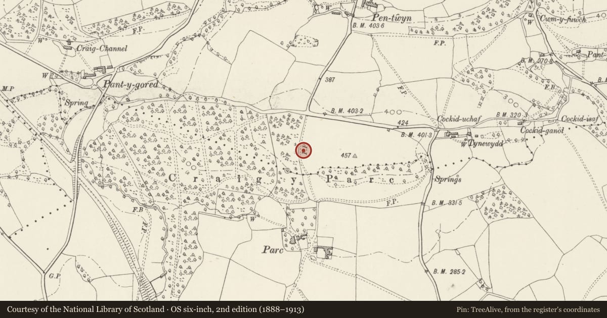 Ordnance Survey six-inch map, 2nd edition (1888–1913) covering the location of Loggia at Craig-y-parc and attached terrace walls and steps, Pentyrch, Cardiff, with a pin at the register's coordinates