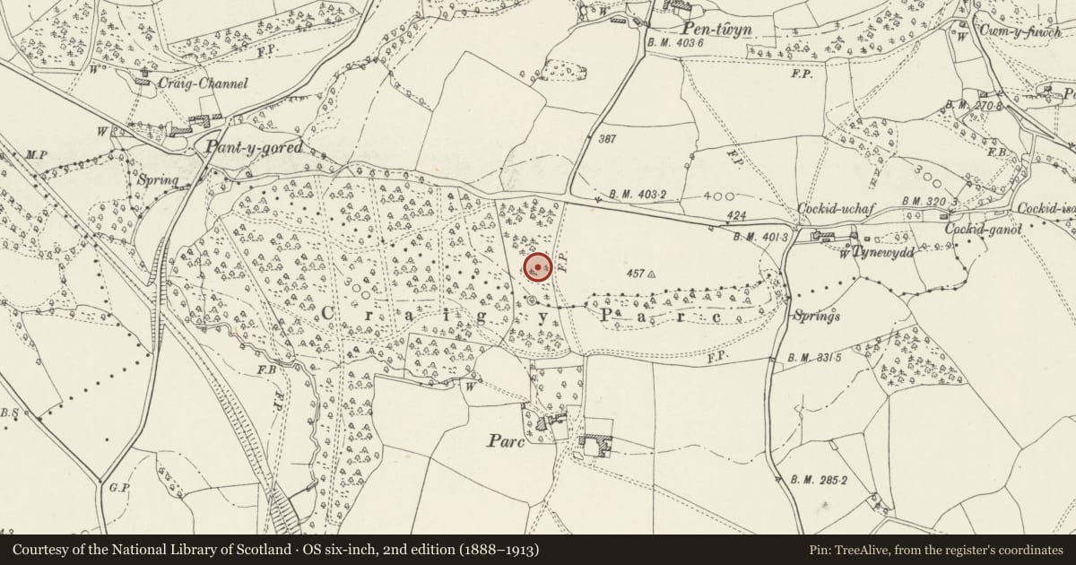Ordnance Survey six-inch map, 2nd edition (1888–1913) covering the location of Garden terrace and steps at Craig-y-parc, Pentyrch, Cardiff, with a pin at the register's coordinates