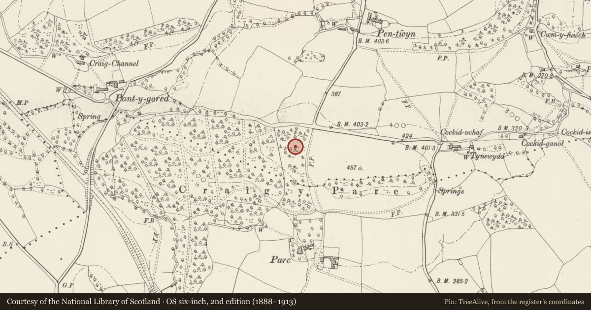 Ordnance Survey six-inch map, 2nd edition (1888–1913) covering the location of Walls and gatepiers to courtyard entrance at Craig-y-parc, Pentyrch, Cardiff, with a pin at the register's coordinates