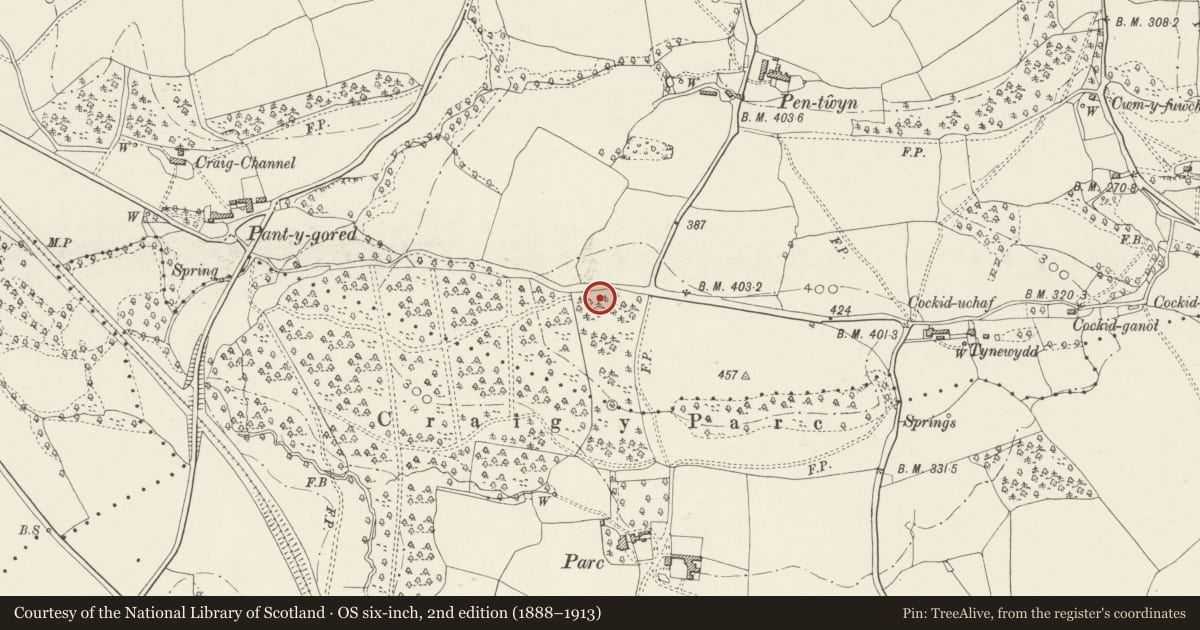 Ordnance Survey six-inch map, 2nd edition (1888–1913) covering the location of Lodge at Craig-y-parc, Pentyrch, Cardiff, with a pin at the register's coordinates