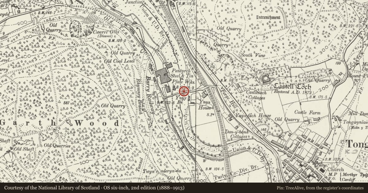 Ordnance Survey six-inch map, 2nd edition (1888–1913) covering the location of Ynys Bridge, Pentyrch, Cardiff, with a pin at the register's coordinates