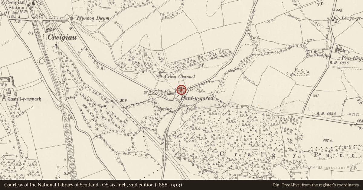 Ordnance Survey six-inch map, 2nd edition (1888–1913) covering the location of Barn at Pant-y-gored, Pentyrch, Cardiff, with a pin at the register's coordinates
