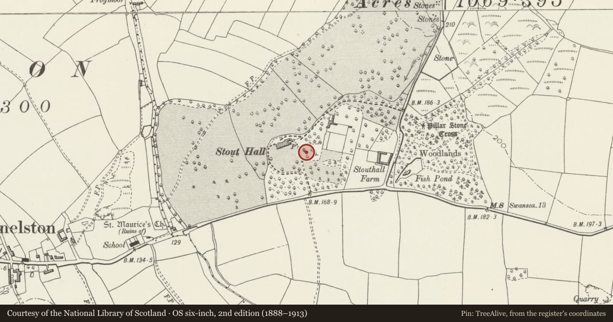 Ordnance Survey six-inch map, 2nd edition (1888–1913) covering the location of Stouthall Ice House, Reynoldston, Swansea, with a pin at the register's coordinates