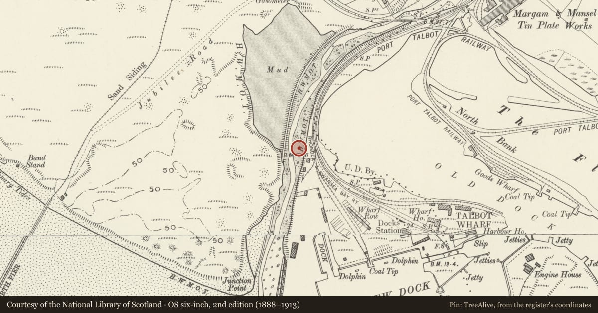 Ordnance Survey six-inch map, 2nd edition (1888–1913) covering the location of Plate-Girder Bridge, Margam Moors, Neath Port Talbot, with a pin at the register's coordinates