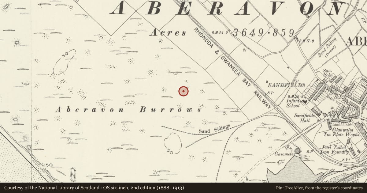 Ordnance Survey six-inch map, 2nd edition (1888–1913) covering the location of War Memorial, Sandfields East, Neath Port Talbot, with a pin at the register's coordinates