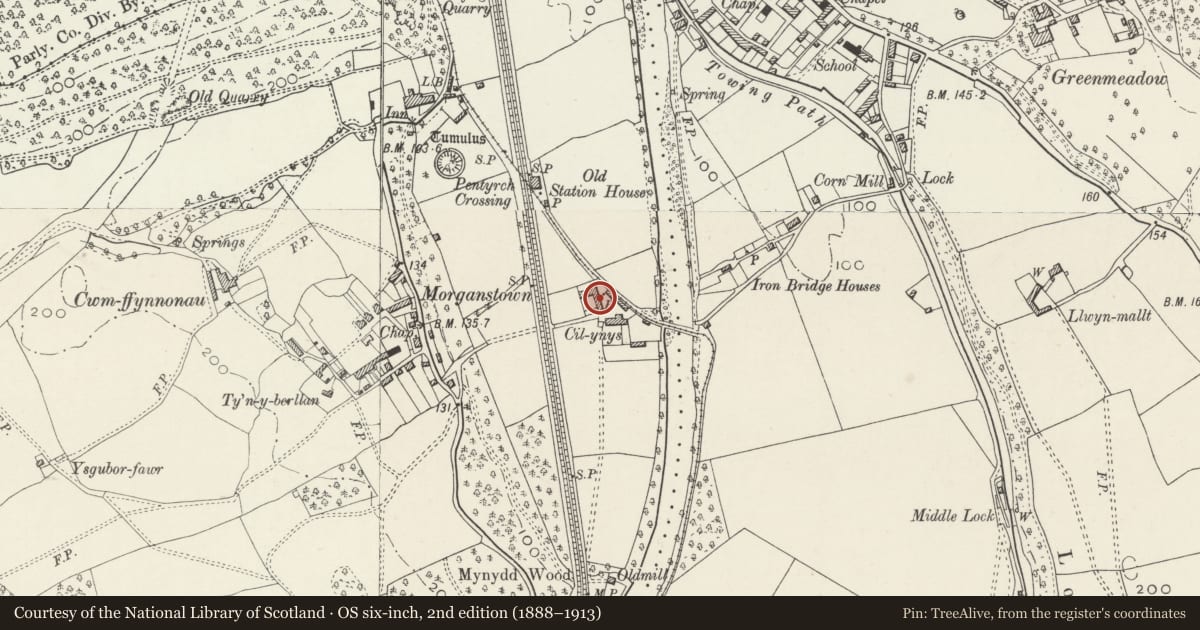 Ordnance Survey six-inch map, 2nd edition (1888–1913) covering the location of Gelynis Farm-range, Radyr and Morganstown, Cardiff, with a pin at the register's coordinates