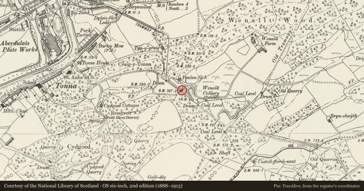 Ordnance Survey six-inch map, 2nd edition (1888–1913) covering the location of Penlan-fach bridge, Tonna, Neath Port Talbot, with a pin at the register's coordinates