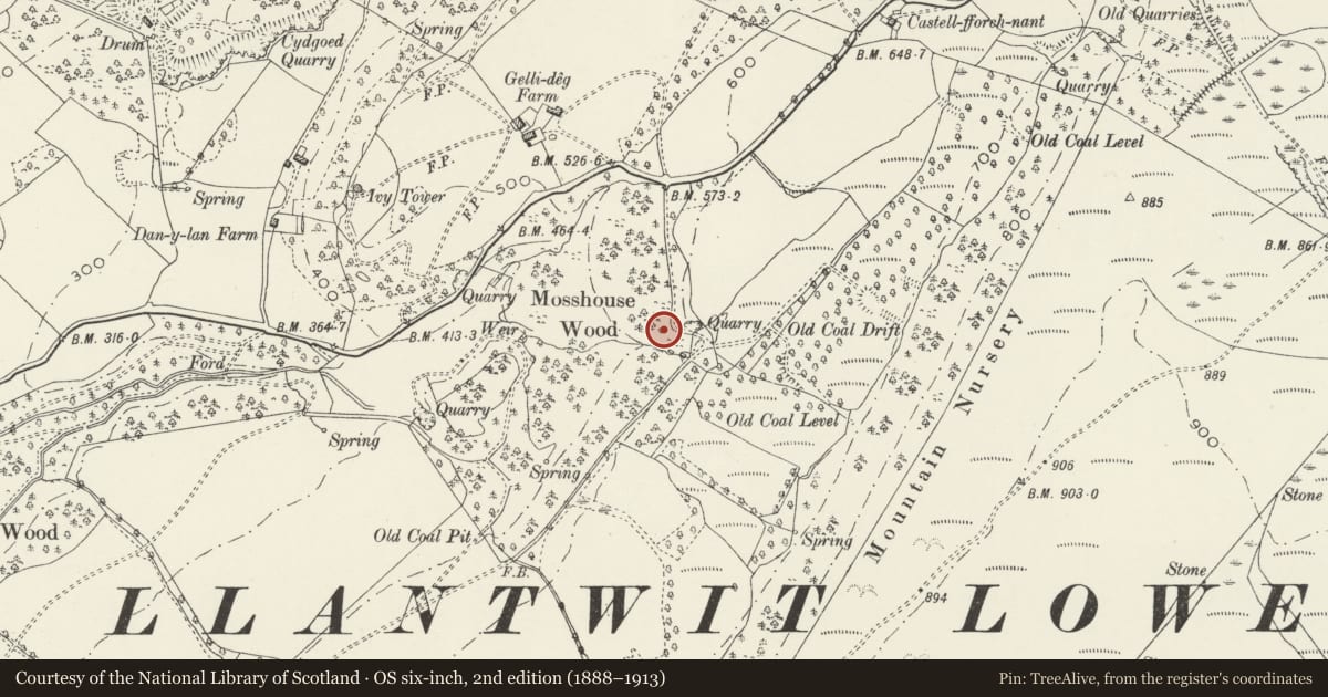 Ordnance Survey six-inch map, 2nd edition (1888–1913) covering the location of Grotto in Gnoll Estate, Tonna, Neath Port Talbot, with a pin at the register's coordinates