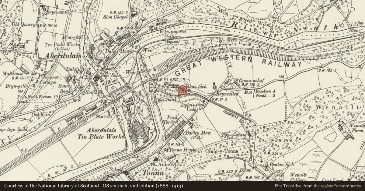 Ordnance Survey six-inch map, 2nd edition (1888–1913) covering the location of Dulais Fach, Tonna, Neath Port Talbot, with a pin at the register's coordinates