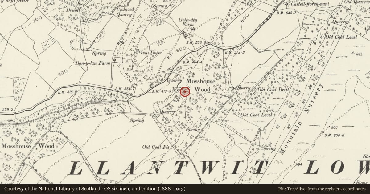 Ordnance Survey six-inch map, 2nd edition (1888–1913) covering the location of Mosshouse Wood Cascade, Tonna, Neath Port Talbot, with a pin at the register's coordinates