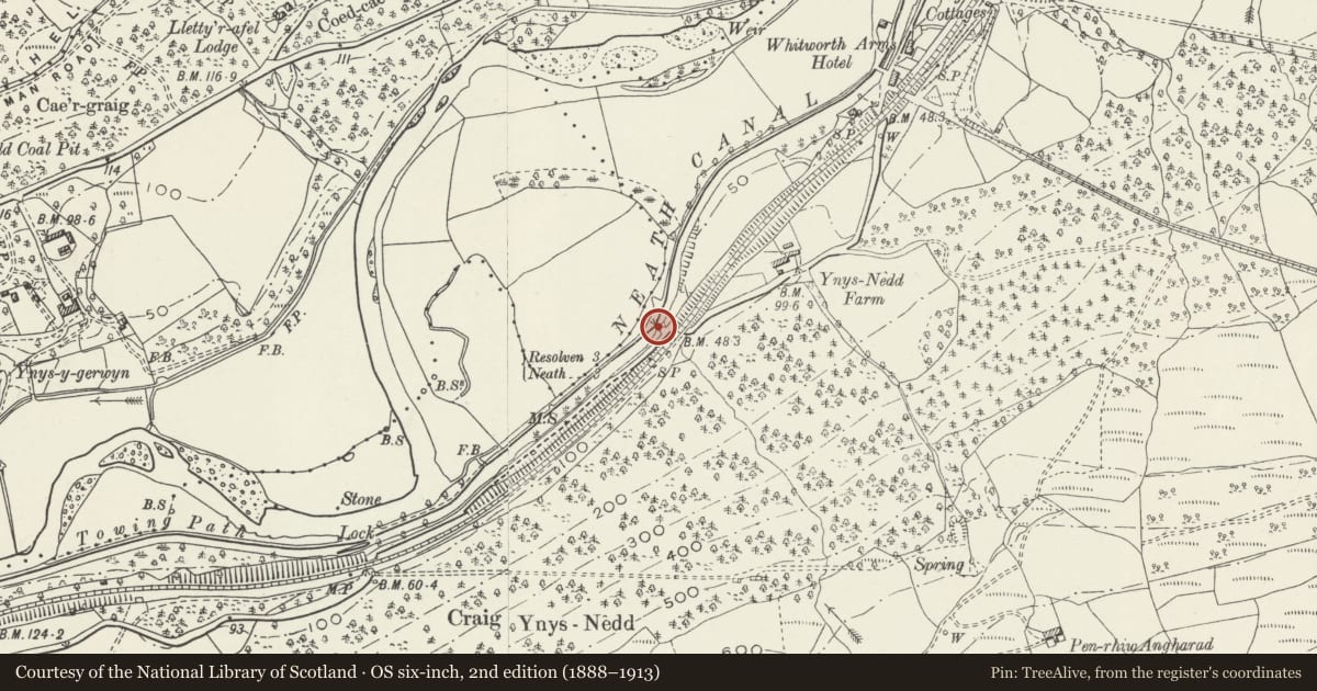 Ordnance Survey six-inch map, 2nd edition (1888–1913) covering the location of Bridge over Neath Canal SW of Ynys Nedd Farm, Tonna, Neath Port Talbot, with a pin at the register's coordinates
