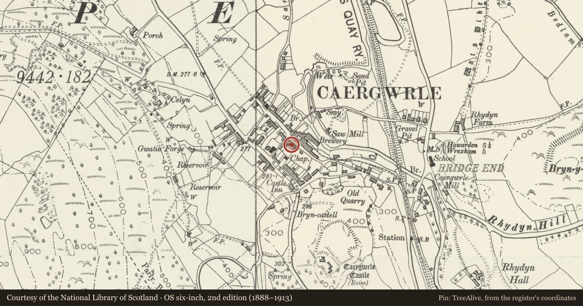 Ordnance Survey six-inch map, 2nd edition (1888–1913) covering the location of Ty Gwyn, including attached wall and outbuildings, Hope, Flintshire, with a pin at the register's coordinates