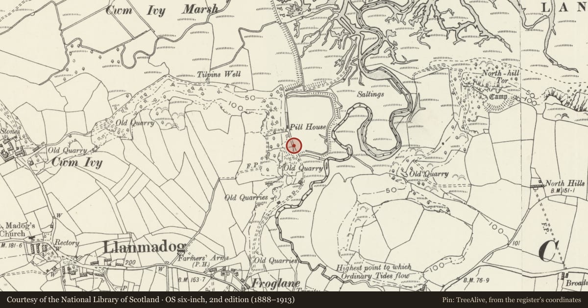 Ordnance Survey six-inch map, 2nd edition (1888–1913) covering the location of Circular Pigsty near Pill House, Llangennith, Llanmadoc and Cheriton, Swansea, with a pin at the register's coordinates