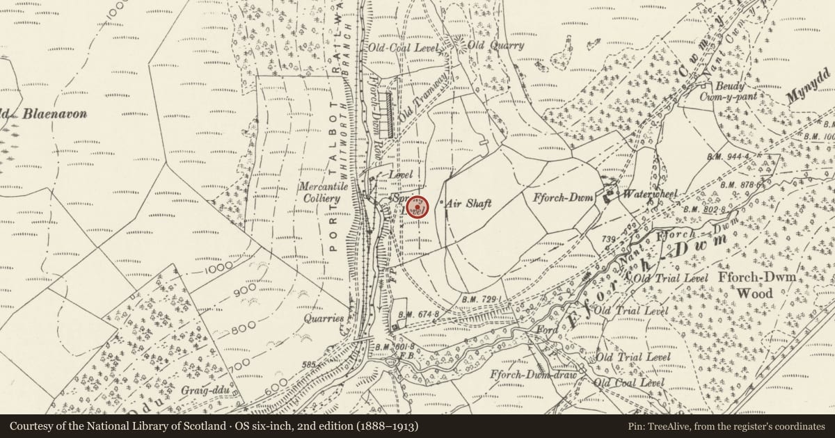 Ordnance Survey six-inch map, 2nd edition (1888–1913) covering the location of Cwm Pelenna ventilation stack, Neath Port Talbot, with a pin at the register's coordinates