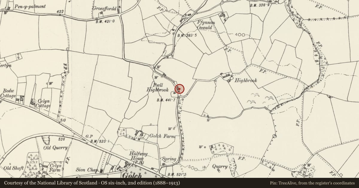 Ordnance Survey six-inch map, 2nd edition (1888–1913) covering the location of Stormont Cottage, Whitford, Flintshire, with a pin at the register's coordinates