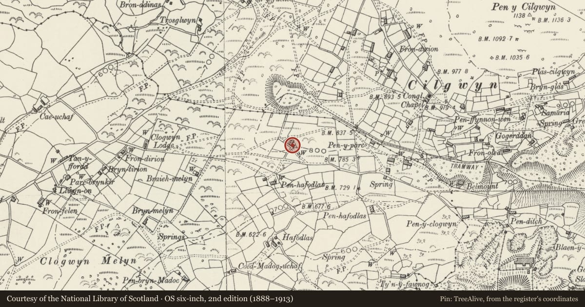 Ordnance Survey six-inch map, 2nd edition (1888–1913) covering the location of Parc, Llanllyfni, Gwynedd, with a pin at the register's coordinates