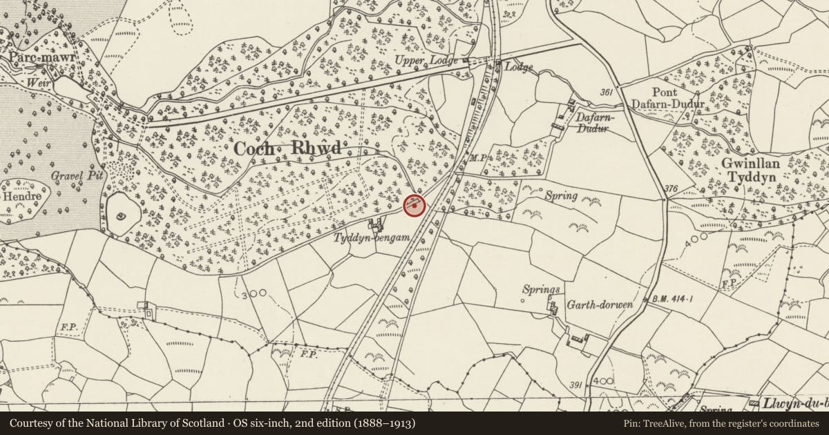 Ordnance Survey six-inch map, 2nd edition (1888–1913) covering the location of Boundary wall to Glynllifon Park (that part forming Community boundary with Llandwrog), Llanllyfni, Gwynedd, with a pin at the register's coordinates