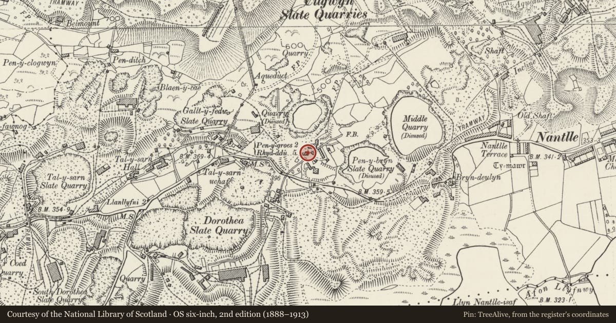 Ordnance Survey six-inch map, 2nd edition (1888–1913) covering the location of Pen-y-bryn, Llanllyfni, Gwynedd, with a pin at the register's coordinates