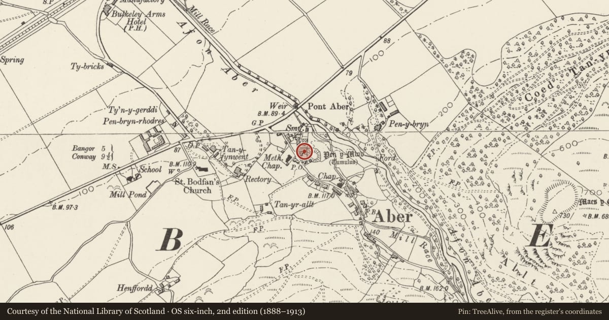 Ordnance Survey six-inch map, 2nd edition (1888–1913) covering the location of Tan-y-dderwen, Aber, Gwynedd, with a pin at the register's coordinates
