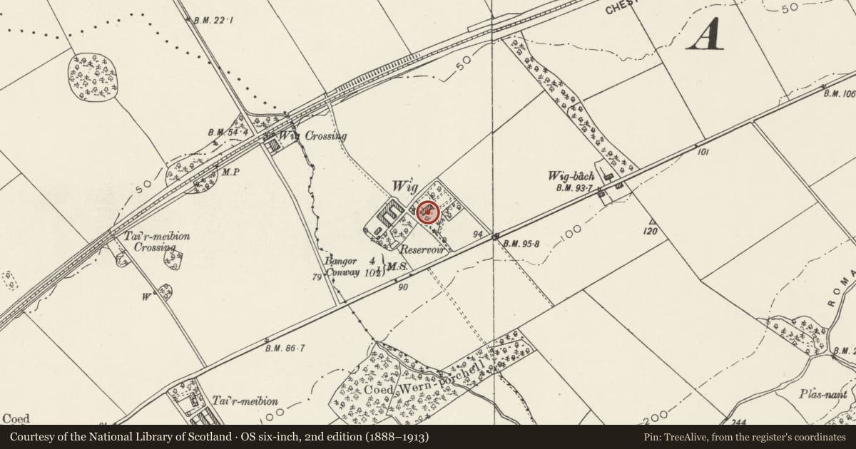 Ordnance Survey six-inch map, 2nd edition (1888–1913) covering the location of Wig, Aber, Gwynedd, with a pin at the register's coordinates