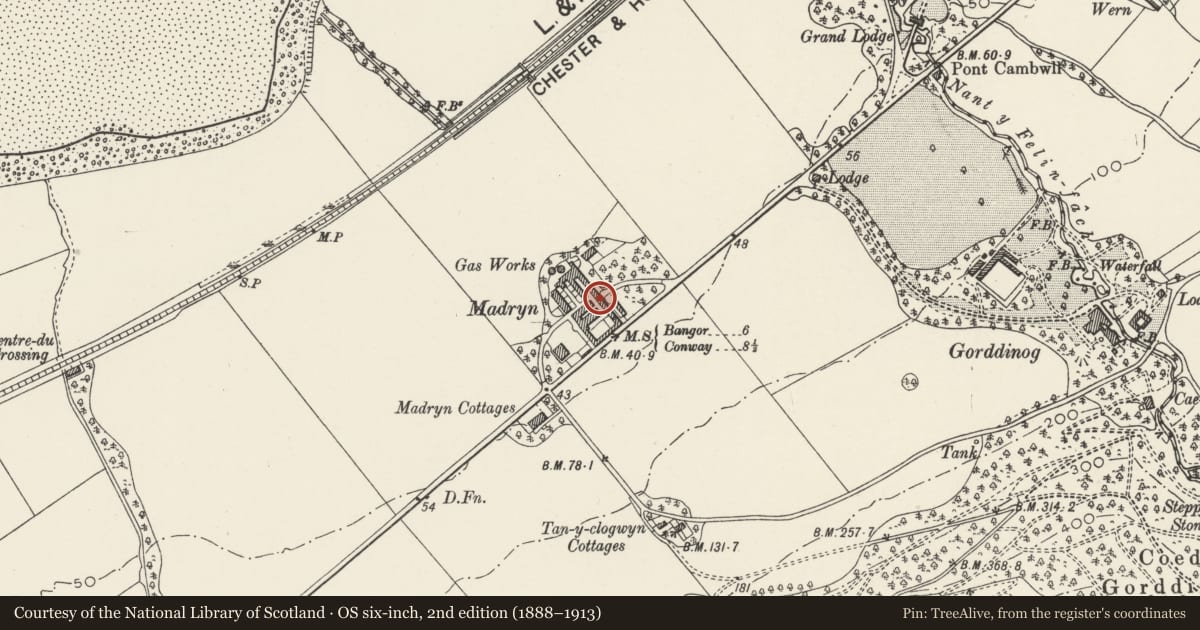 Ordnance Survey six-inch map, 2nd edition (1888–1913) covering the location of Gatehouse range including stabling, cowhouses and walls enclosing yard to south at Madryn Farm, Aber, Gwynedd, with a pin at the register's coordinates