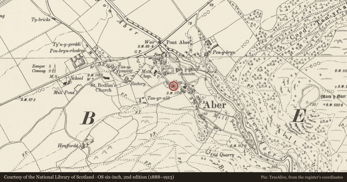 Ordnance Survey six-inch map, 2nd edition (1888–1913) covering the location of Fron, Aber, Gwynedd, with a pin at the register's coordinates