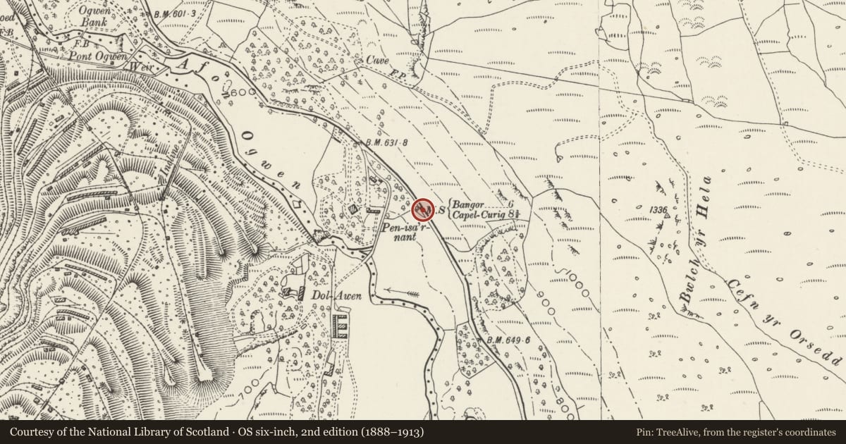 Ordnance Survey six-inch map, 2nd edition (1888–1913) covering the location of Telford Milestone (31), Llanllechid, Gwynedd, with a pin at the register's coordinates