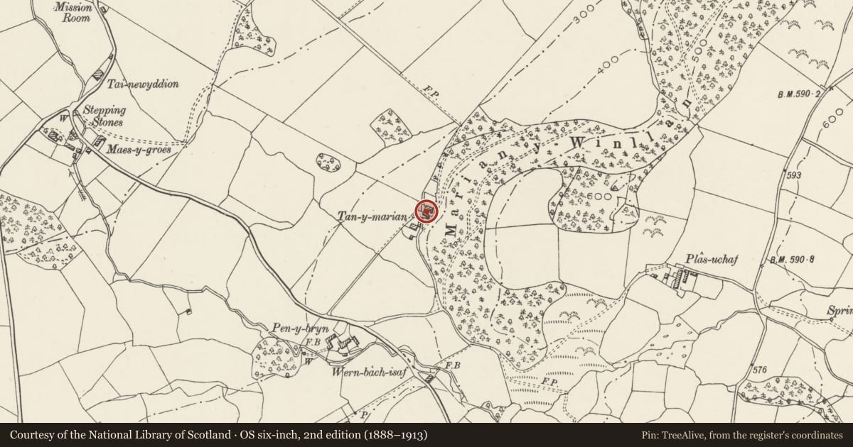 Ordnance Survey six-inch map, 2nd edition (1888–1913) covering the location of Tan-y-marian, Llanllechid, Gwynedd, with a pin at the register's coordinates