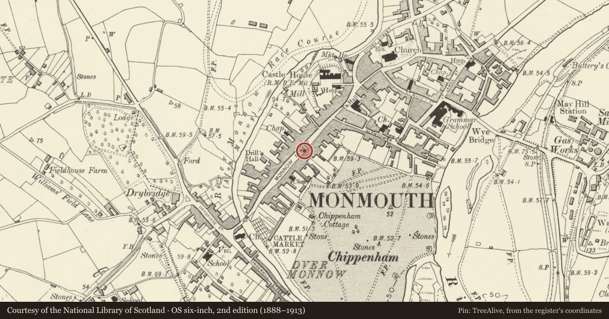 Ordnance Survey six-inch map, 2nd edition (1888–1913) covering the location of Front Garden Railings & Gates to Nos.56 & 58, Monmouth, Monmouthshire, with a pin at the register's coordinates