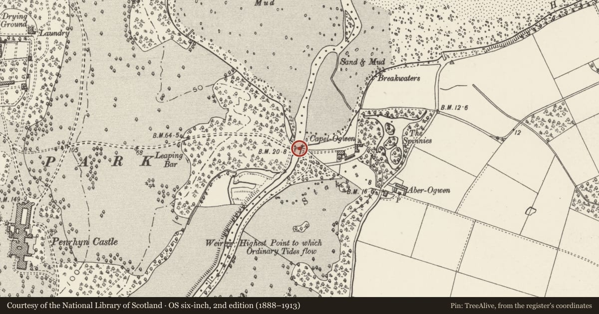 Ordnance Survey six-inch map, 2nd edition (1888–1913) covering the location of Bridge at the mouth of the Afon Ogwen (partly in Llandygai community), Llanllechid, Gwynedd, with a pin at the register's coordinates