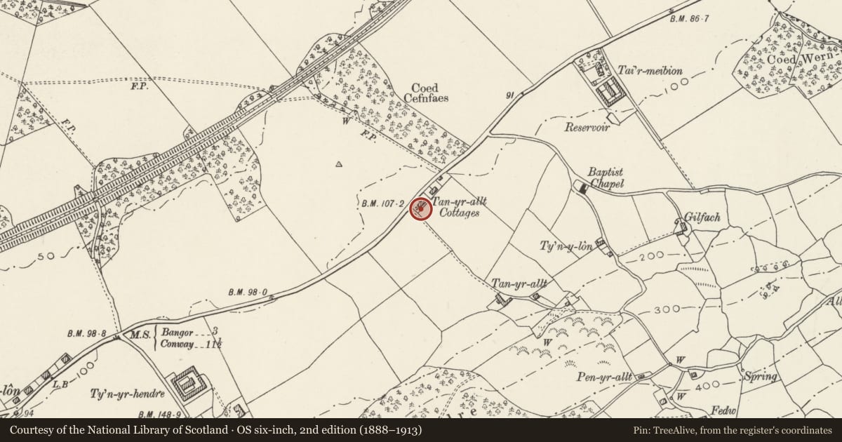 Ordnance Survey six-inch map, 2nd edition (1888–1913) covering the location of Tan-yr-allt Cottages, Llanllechid, Gwynedd, with a pin at the register's coordinates