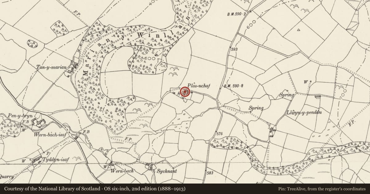 Ordnance Survey six-inch map, 2nd edition (1888–1913) covering the location of Cart Shelter and Pigsties at Plas-uchaf, Llanllechid, Gwynedd, with a pin at the register's coordinates