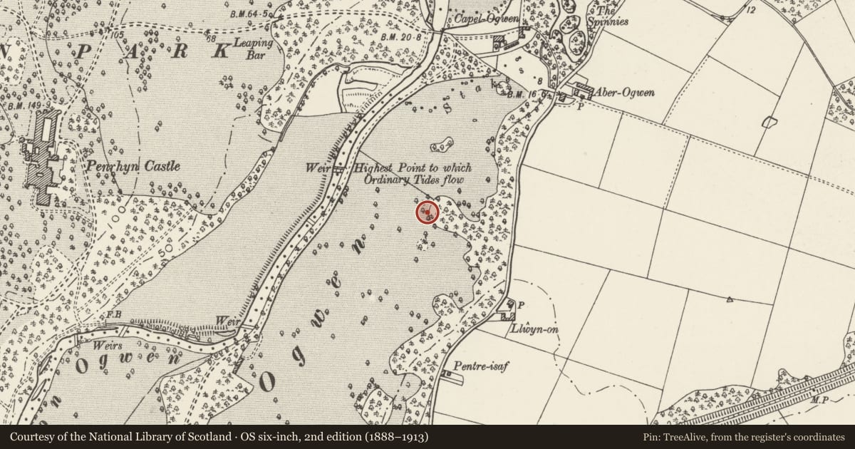 Ordnance Survey six-inch map, 2nd edition (1888–1913) covering the location of Penrhyn Park boundary wall (partly in Llandygai community), Llanllechid, Gwynedd, with a pin at the register's coordinates