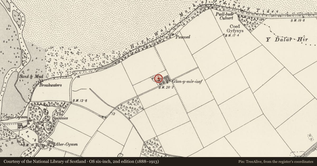 Ordnance Survey six-inch map, 2nd edition (1888–1913) covering the location of Pigsties at Glan-y-mor-isaf, Llanllechid, Gwynedd, with a pin at the register's coordinates