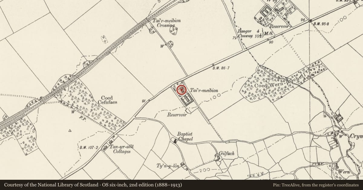 Ordnance Survey six-inch map, 2nd edition (1888–1913) covering the location of Tai'r-meibion, Llanllechid, Gwynedd, with a pin at the register's coordinates