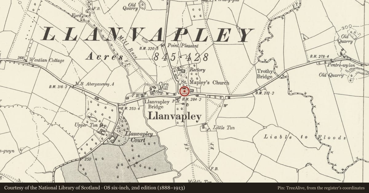 Ordnance Survey six-inch map, 2nd edition (1888–1913) covering the location of Churchyard cross in Llanvapley churchyard, Gobion Fawr, Monmouthshire, with a pin at the register's coordinates