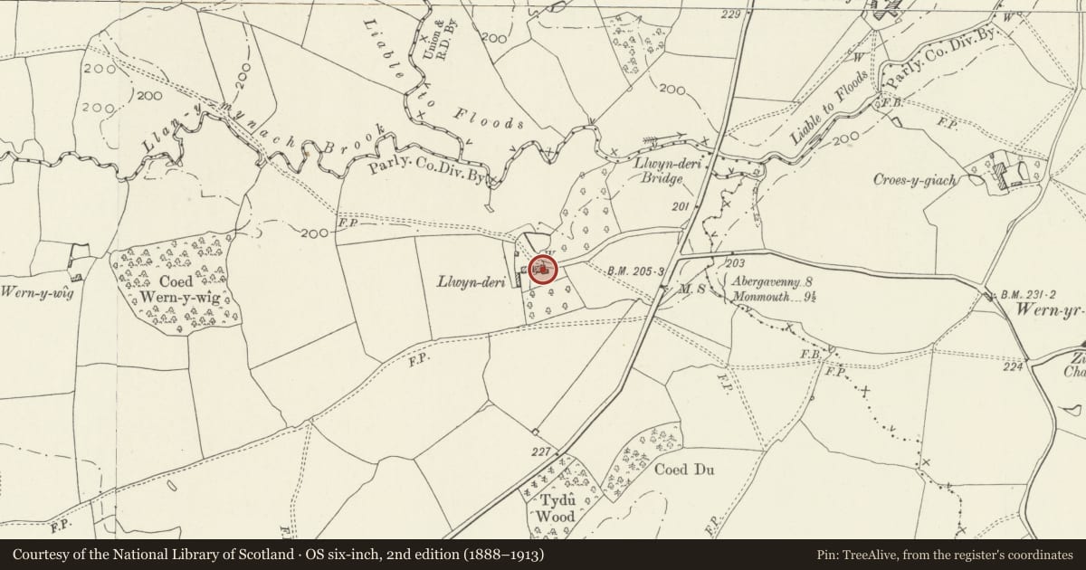 Ordnance Survey six-inch map, 2nd edition (1888–1913) covering the location of Llwynderi, Llanarth, Monmouthshire, with a pin at the register's coordinates
