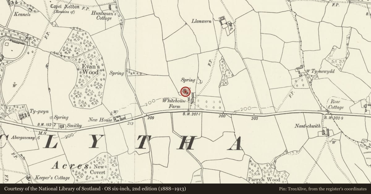 Ordnance Survey six-inch map, 2nd edition (1888–1913) covering the location of Whitehouse, Llanarth, Monmouthshire, with a pin at the register's coordinates