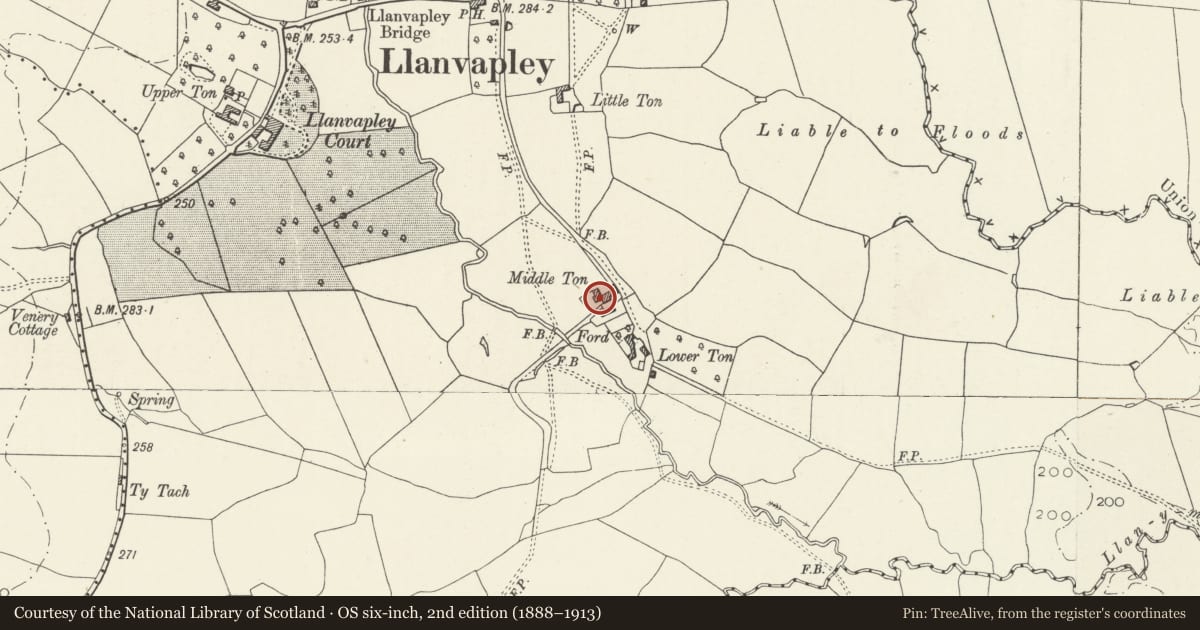 Ordnance Survey six-inch map, 2nd edition (1888–1913) covering the location of Middle Ton, Gobion Fawr, Monmouthshire, with a pin at the register's coordinates