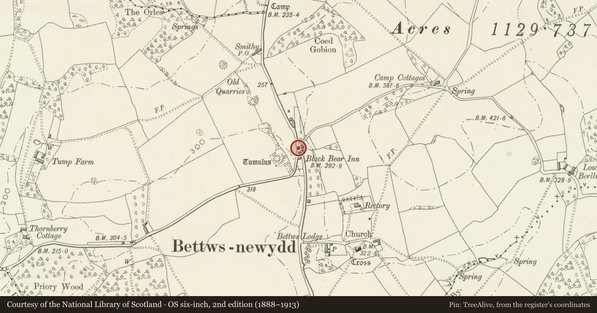 Ordnance Survey six-inch map, 2nd edition (1888–1913) covering the location of Well-house at Bettws Newydd, Llanarth, Monmouthshire, with a pin at the register's coordinates