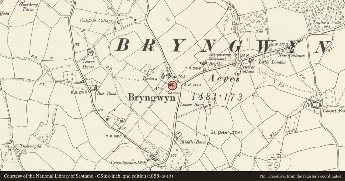 Ordnance Survey six-inch map, 2nd edition (1888–1913) covering the location of Churchyard cross at Bryngwyn church, Llanarth, Monmouthshire, with a pin at the register's coordinates