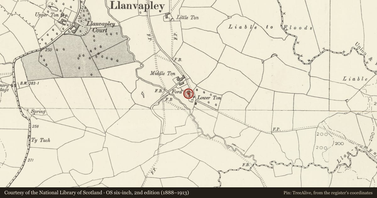 Ordnance Survey six-inch map, 2nd edition (1888–1913) covering the location of Lower Ton, Gobion Fawr, Monmouthshire, with a pin at the register's coordinates